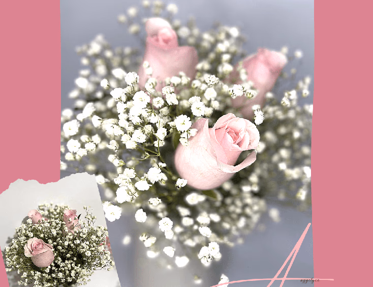 Amour & Fleurs