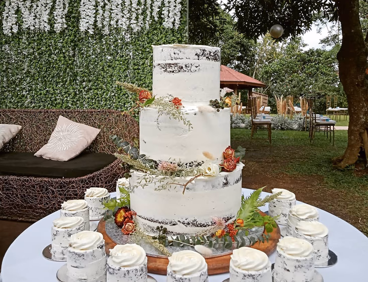 Cake Studio