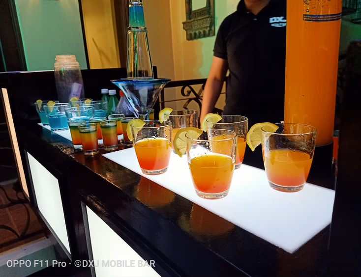DXJ Mobile Bar
