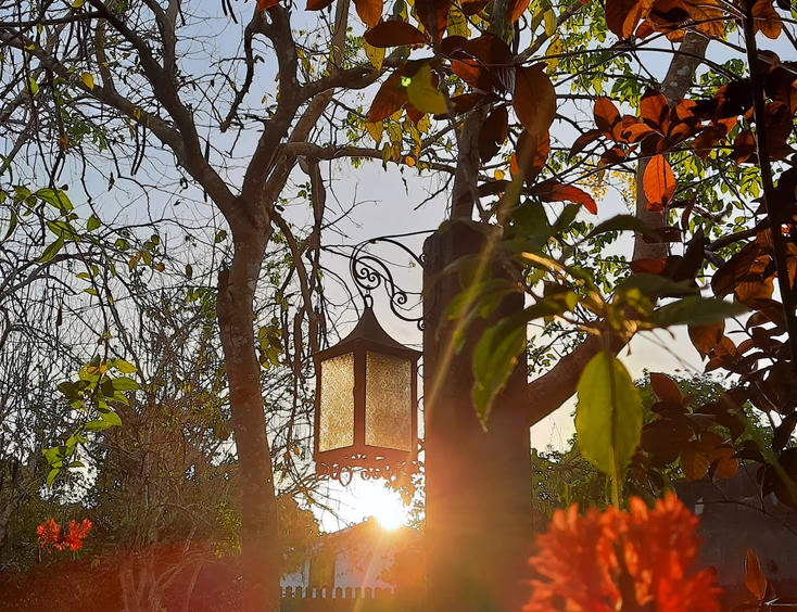 Hacienda Isabella