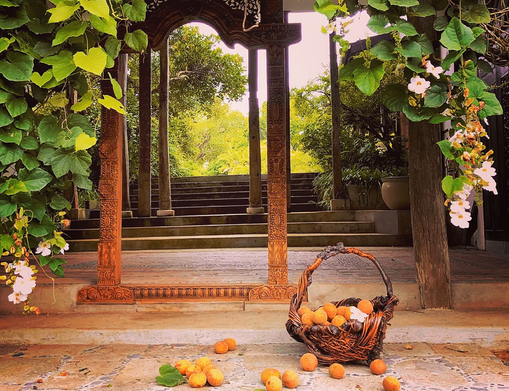 Hacienda Isabella
