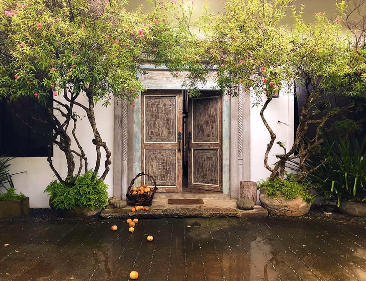 Hacienda Isabella