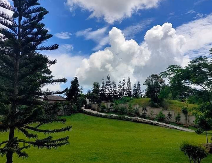 Jardin de Milagros