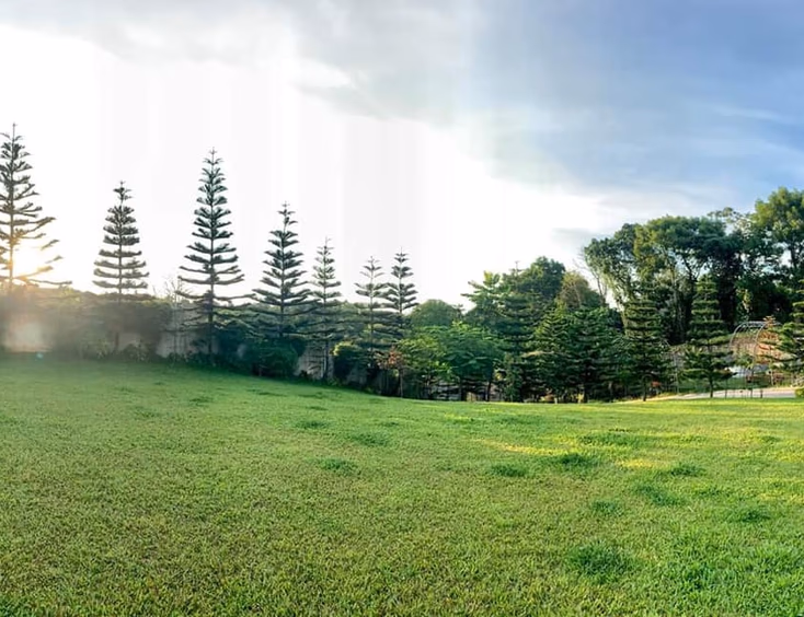 Jardin de Milagros