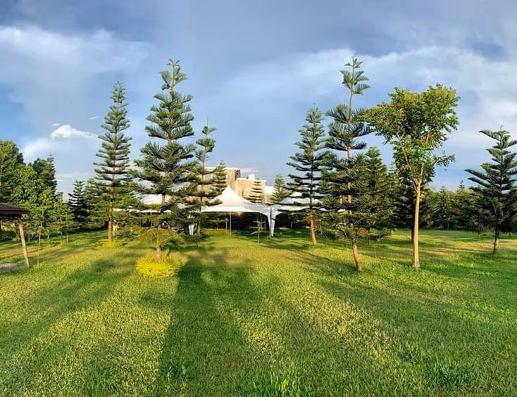 Jardin de Milagros