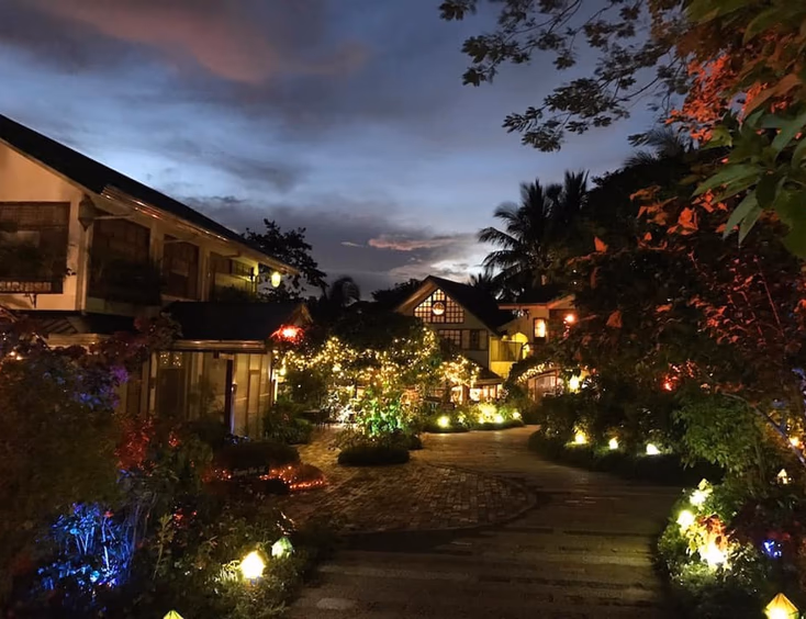 Sonya's Garden