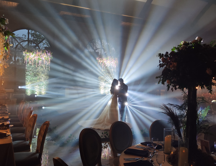 Artuz 101 Professional Lights and Sounds Rental Inc