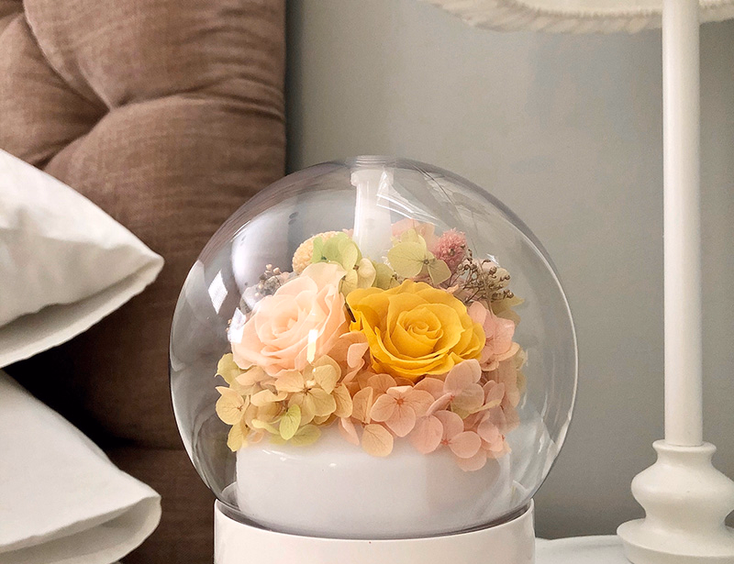 Bloomiere Preserved Flowers