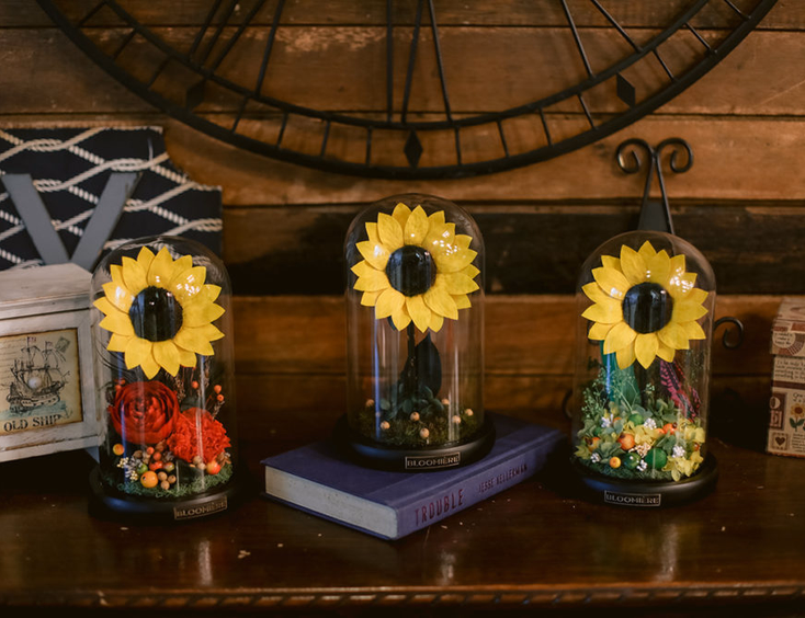 Bloomiere Preserved Flowers