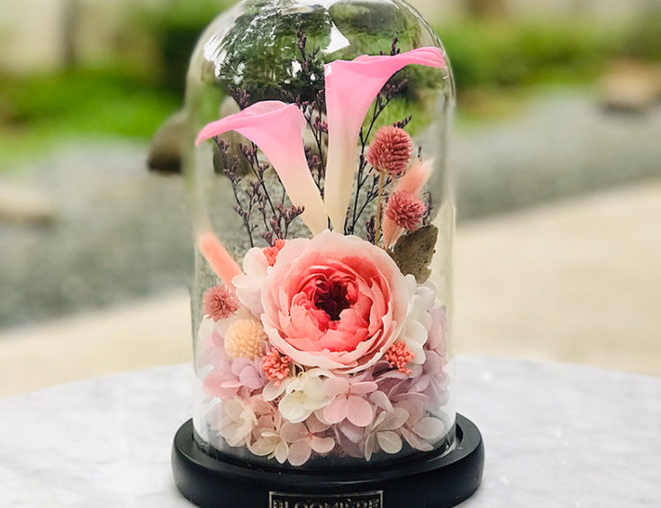 Bloomiere Preserved Flowers