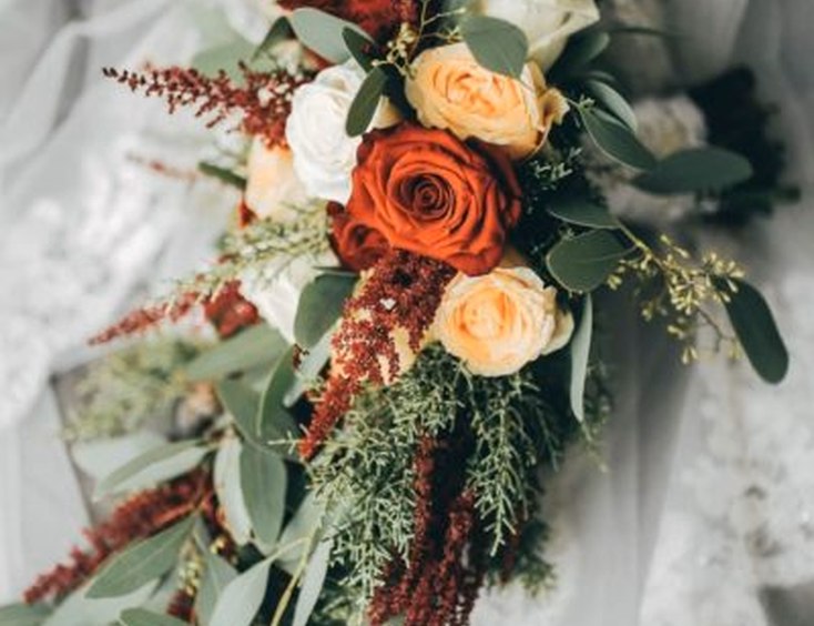 DreamCatchers PhotoCinema