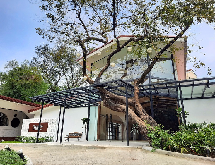 Gallery MiraNila by The Blue Leaf