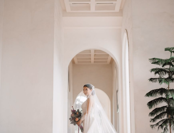 Honeycomb PhotoCinema