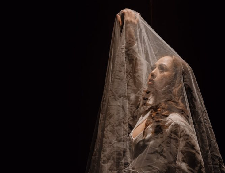 Honeycomb PhotoCinema