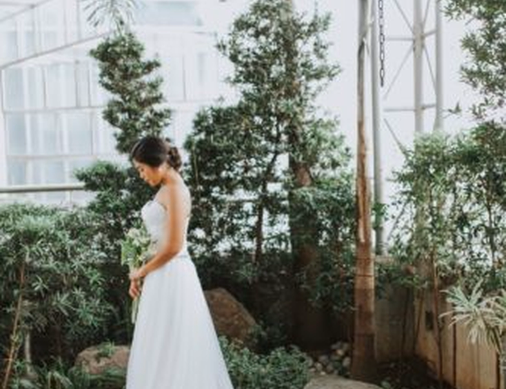 Ivory & White Bridal Store