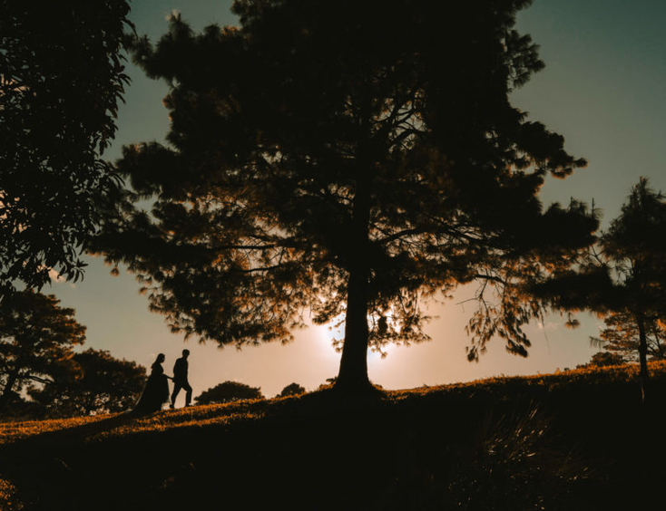 Luminance Imaging Ph