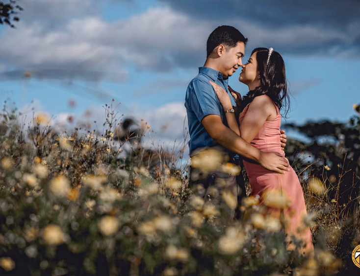 The Old Grove Farmstead