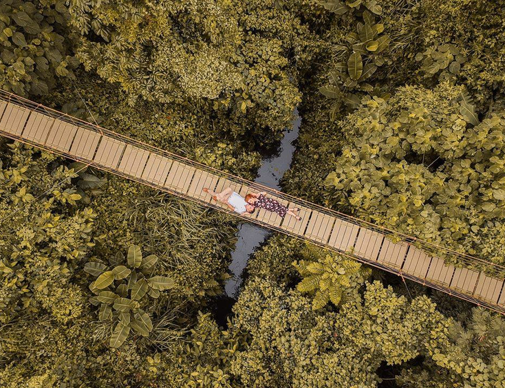 The Old Grove Farmstead