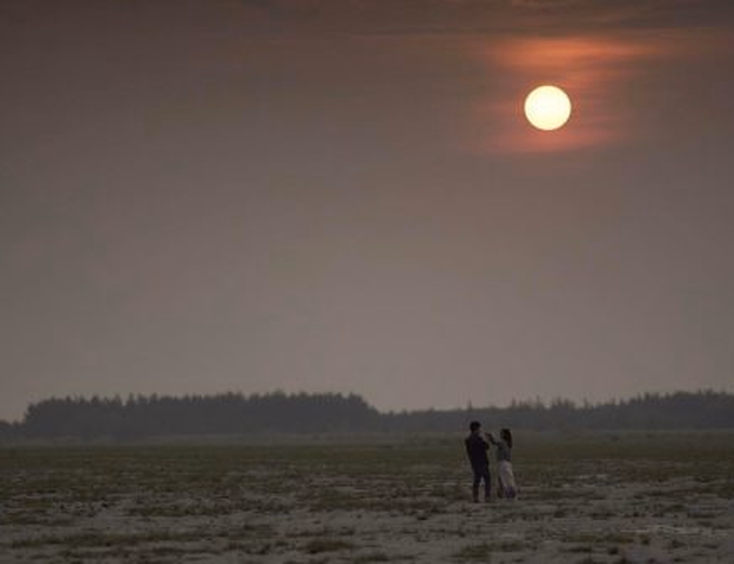 Treehouse Story Films